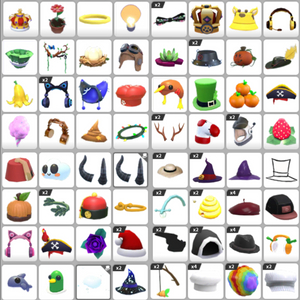 입양하세요 펫의상 이미지