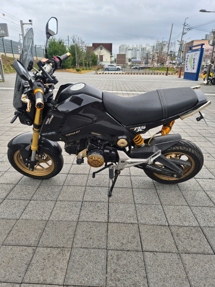혼다 msx125 125cc 오토바이 이미지