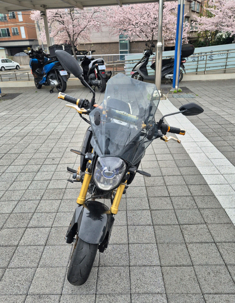혼다 msx125 125cc 오토바이 이미지