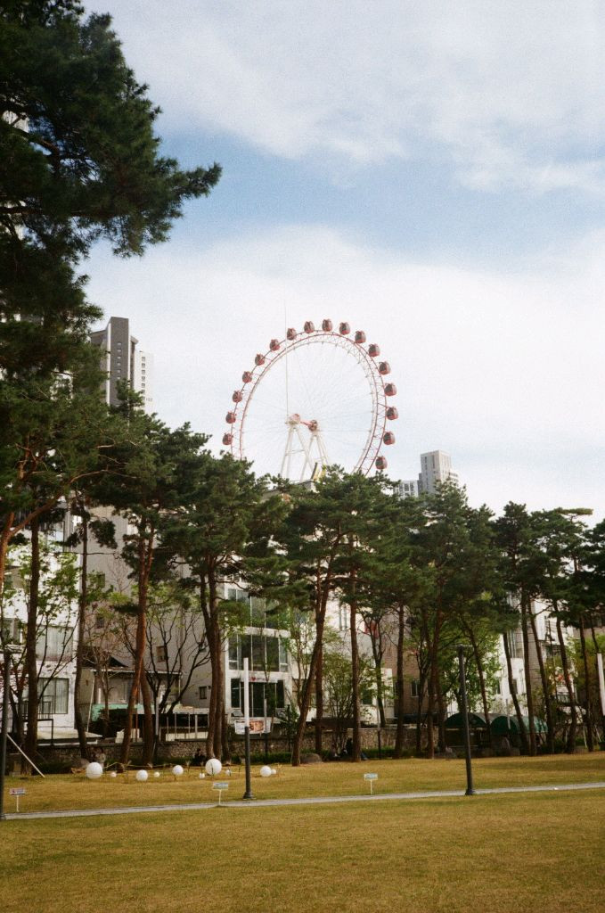 코니카 C35 MFD 필름카메라 이미지