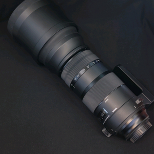 시그마 150-600s 스포츠 캐논ef마운트 이미지