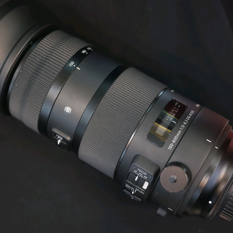 시그마 150-600s 스포츠 캐논ef마운트 이미지