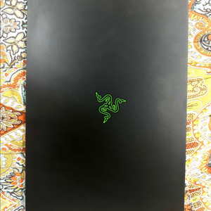 레이저 블레이드 프로 17 이미지