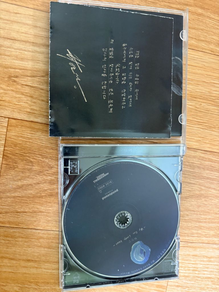 하현상 My poor Lonely Heart 이미지