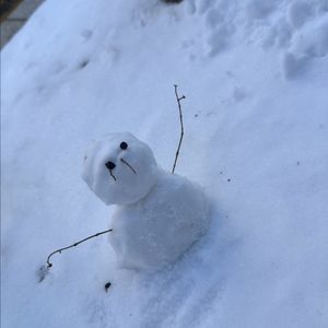 에어팟 프로2 삽니다 이미지