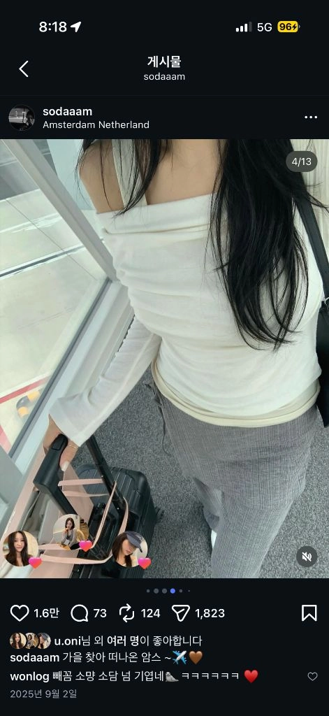리즈 크림레이어드티 이미지