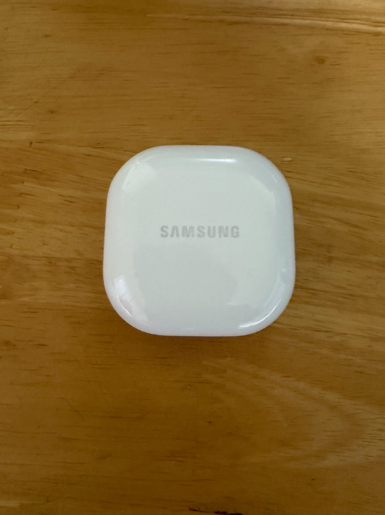 갤럭시 버즈fe 이미지