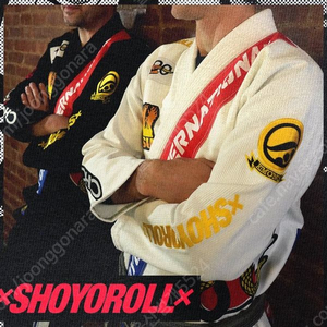 주짓수 도복 _ 쇼요롤 페더레이션3 - A1 이미지