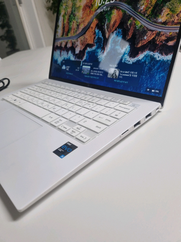 LG그램 11세대 노트북 이미지