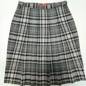 엘리트 여자 교복 하복 치마 스커트 65 판매 이미지