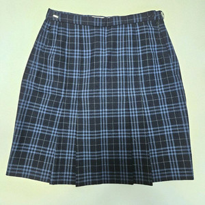 스쿨룩스 여자 교복 하복 치마 스커트 65 판매 이미지