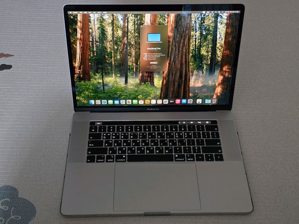 애플 노트북 맥북 프로 15인치 A1990 i9 16G 라데온 CTO 이미지