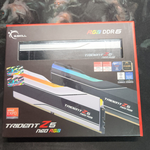 (G.SKILL DDR5-6000 CL36 TRIDENT Z5 NEO RGB J 화이트 (64GB(32Gx2) 이미지