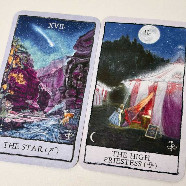 [일괄] 타로카드 3종 이미지
