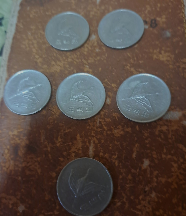 500원동전(1982년 2개 1983년 3개 1984년1개) 이미지