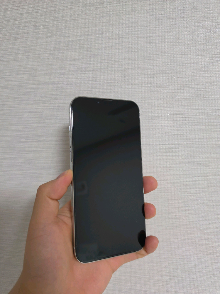 판매)아이폰13프로맥스 256기가 실버 자급제 이미지