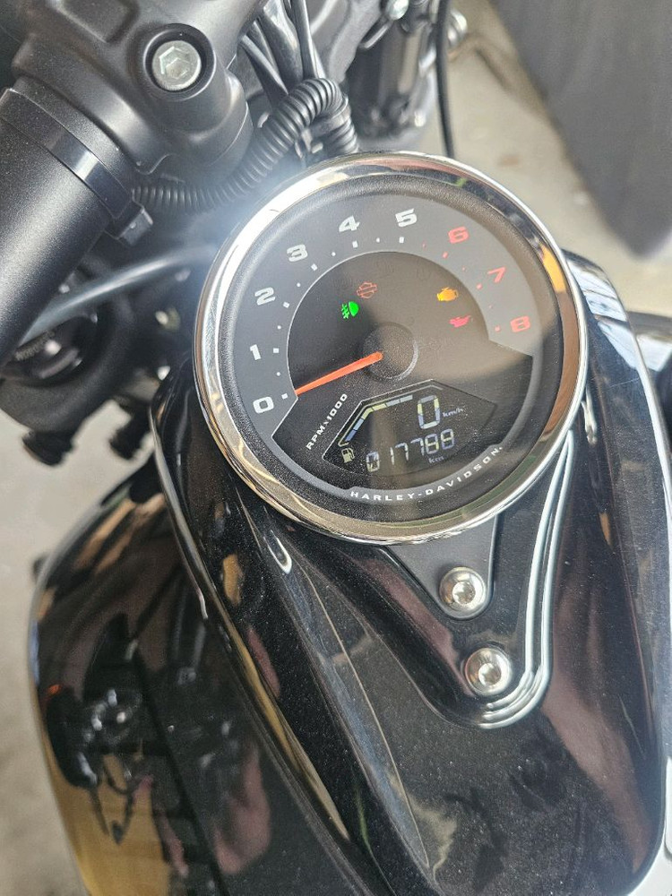 할리데이비슨 팻밥114 2020년식 이미지