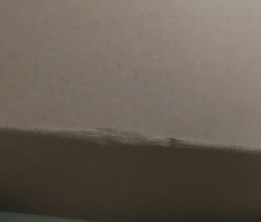 선재업고 튀어 블루레이 한정판 이미지