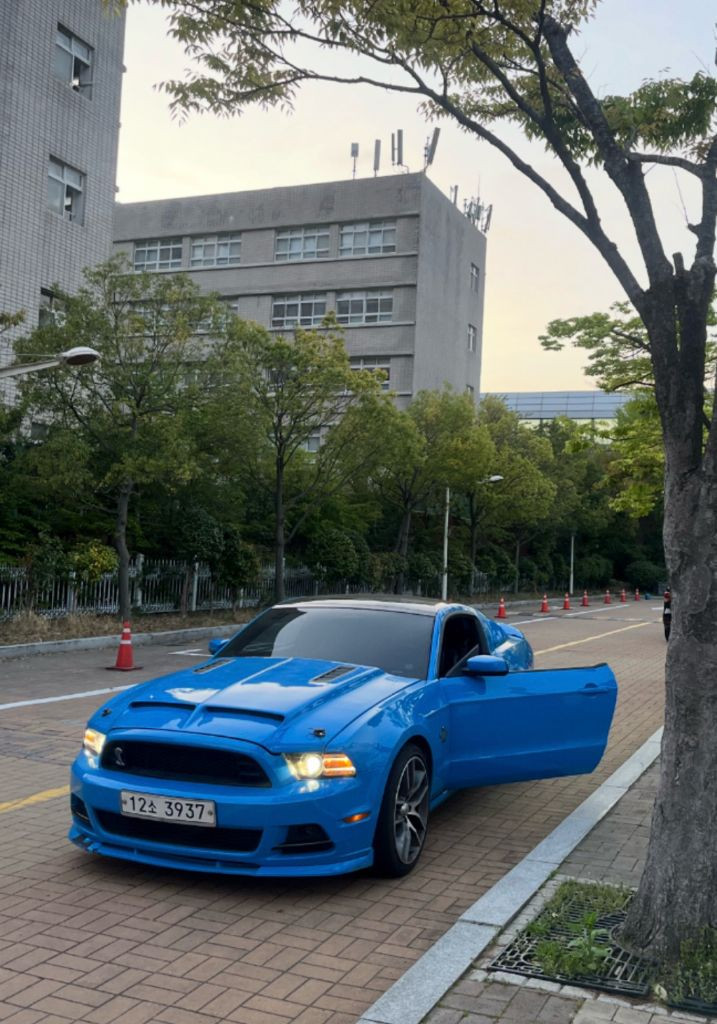 머스탱 5.5세대 이미지