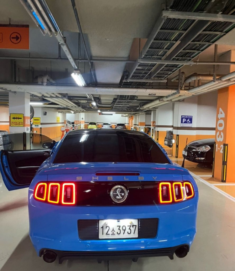 머스탱 5.5세대 이미지
