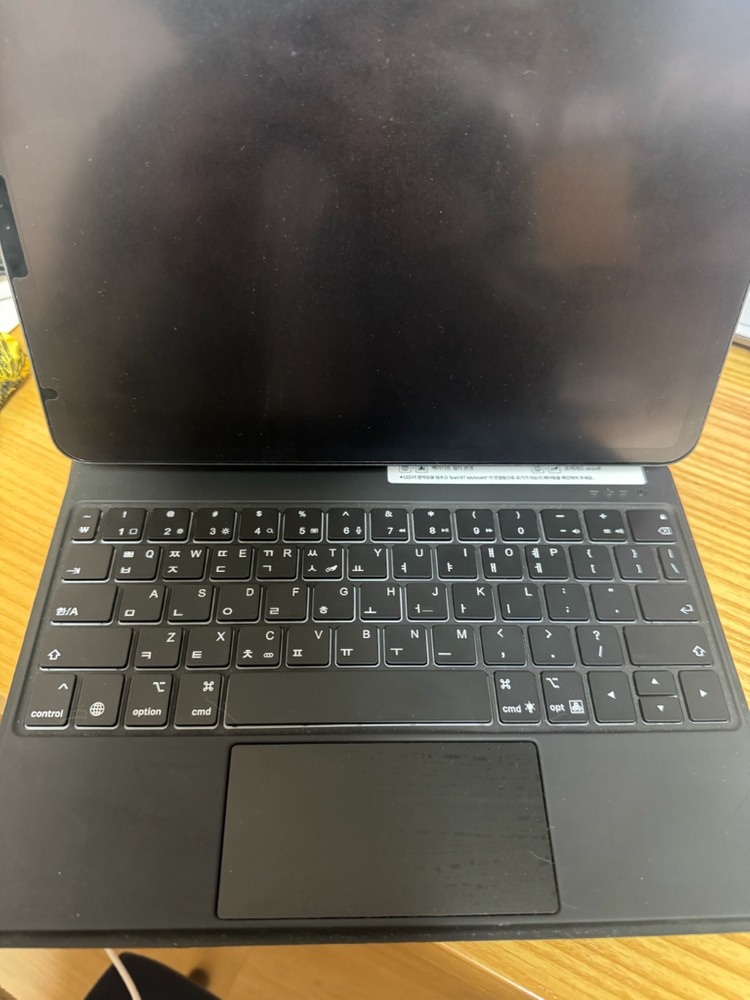 아이패드 프로 11 2세대 256GB 이미지