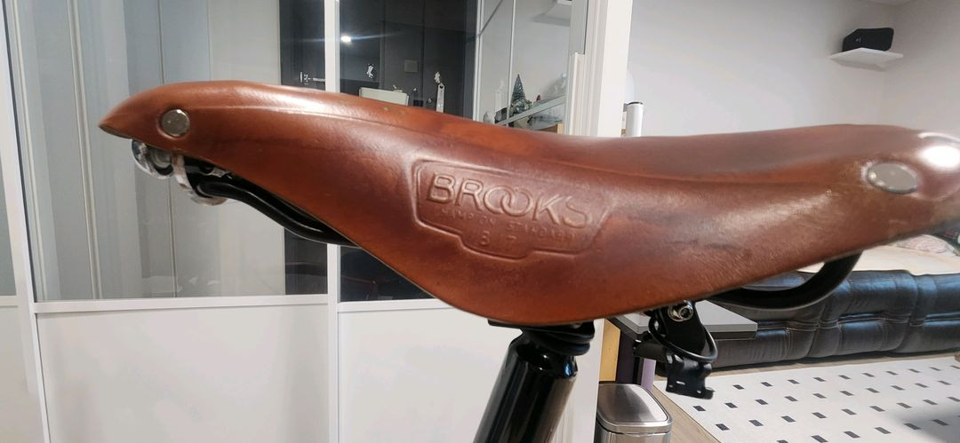 2023 브롬톤 c라인 프레임라커 이미지