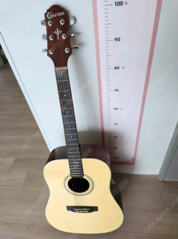 크래프터 통 기타 이미지