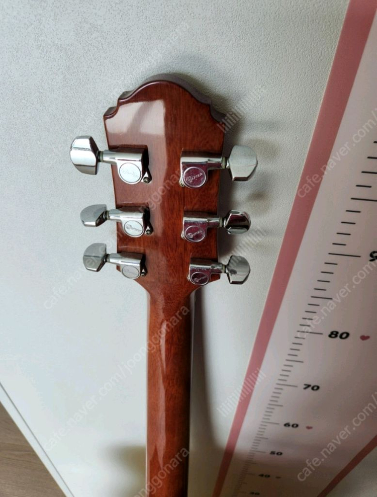 크래프터 통 기타 이미지