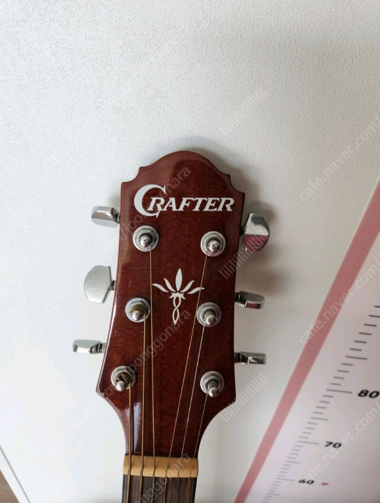 크래프터 통 기타 이미지