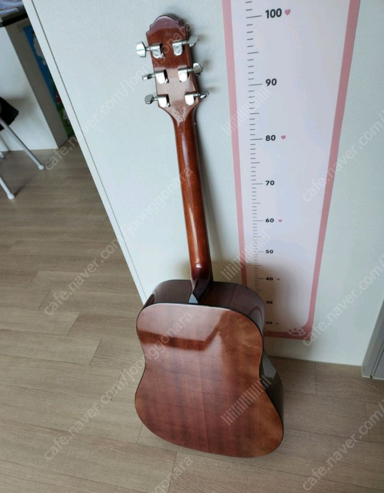 크래프터 통 기타 이미지