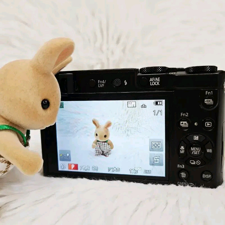 [민트] 파나소닉 루믹스 ZS100 하이엔드 디카, 디지털카메라, 라이카 이미지