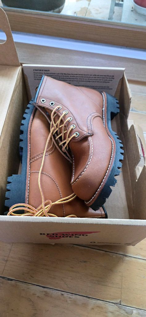 레드윙 8147 이미지