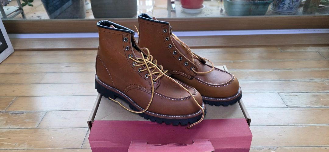 레드윙 8147 이미지