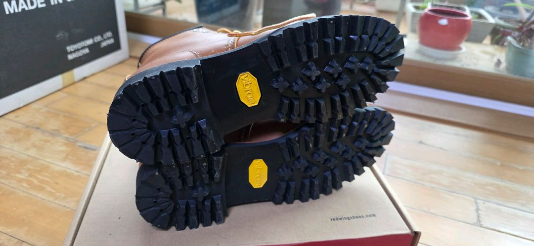 레드윙 8147 이미지