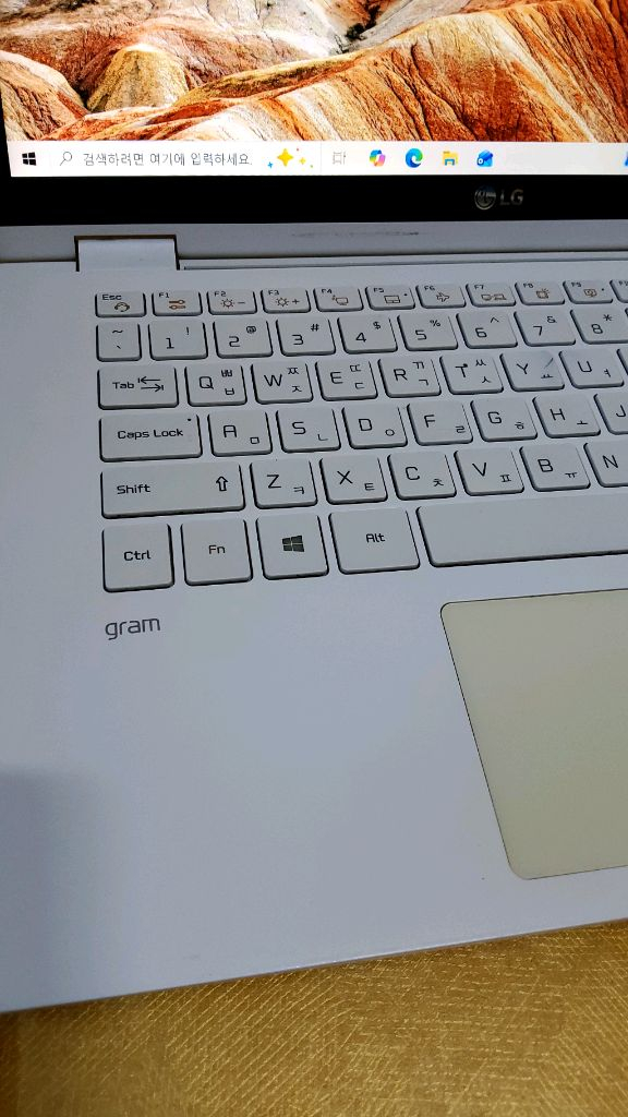 LG그램 14T90N-VP50ML i5-10210U 터치노트북 이미지