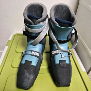 슬레드독 F5 사이즈9호 입문용 팝니다 이미지