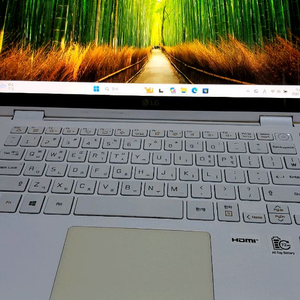 LG그램 14T90N-VP50ML i5-10210U 터치노트북 이미지