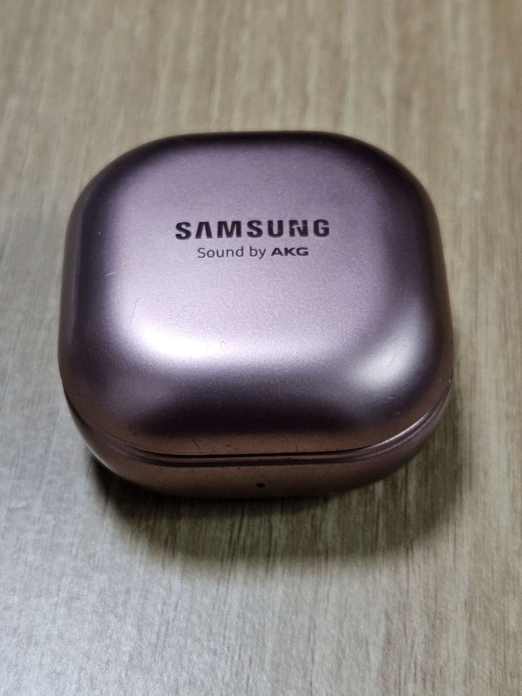 버즈라이브 브론즈 충전본체 이미지