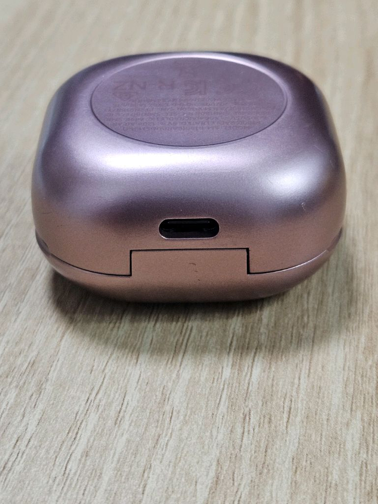 버즈라이브 브론즈 충전본체 이미지