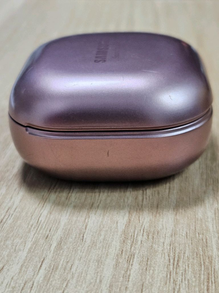 버즈라이브 브론즈 충전본체 이미지