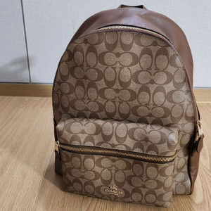 코치 백팩 가방 이미지