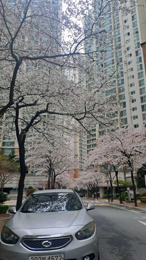 13년식 sm3 부산 중고차 거래 이미지