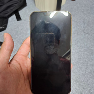 아이폰 13 PRO MAX 256GB 이미지