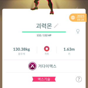 포켓몬고 거다이맥스 이로치 괴력몬 이미지