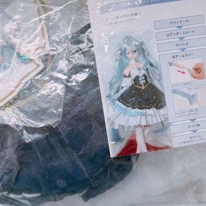 미쿠 돌피드림 DD 스노우 프린세스 판매 이미지