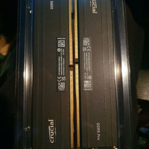 마이크론 Crucial DDR5-5600 CL46 PRO 패키지 대원씨티에스 (32GB(16Gx2)) 이미지