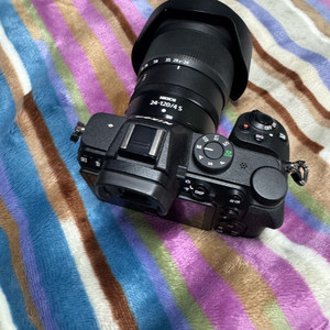 니콘z5 + 24-120 f4 s 이미지
