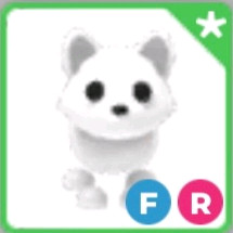 입양하세요 북극여우 이미지