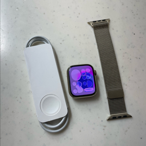 애플워치9스테인리스 45mm SSS급 이미지