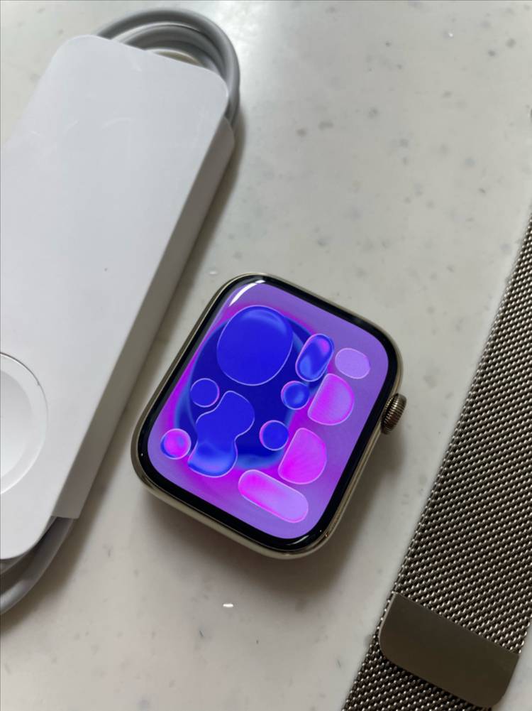 애플워치9스테인리스 45mm SSS급 이미지